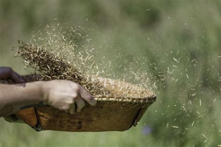 When do we use winnowing?