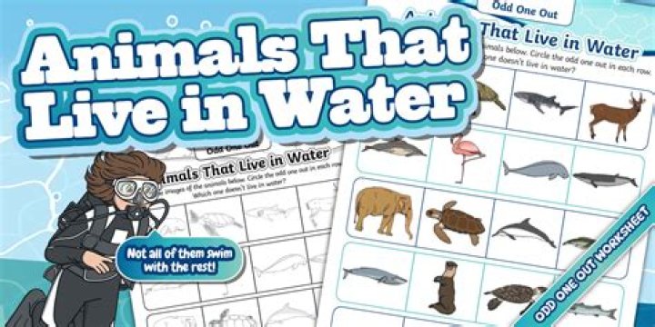Why can't land animals live in water?